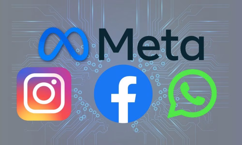 Meta Plus subscriptions